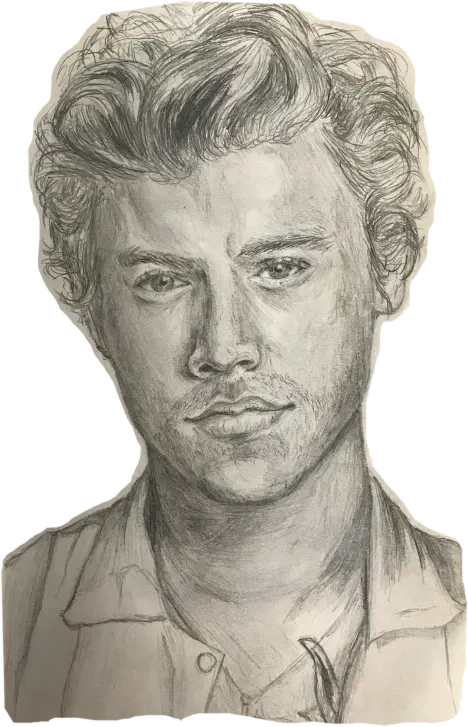 Harry Styles