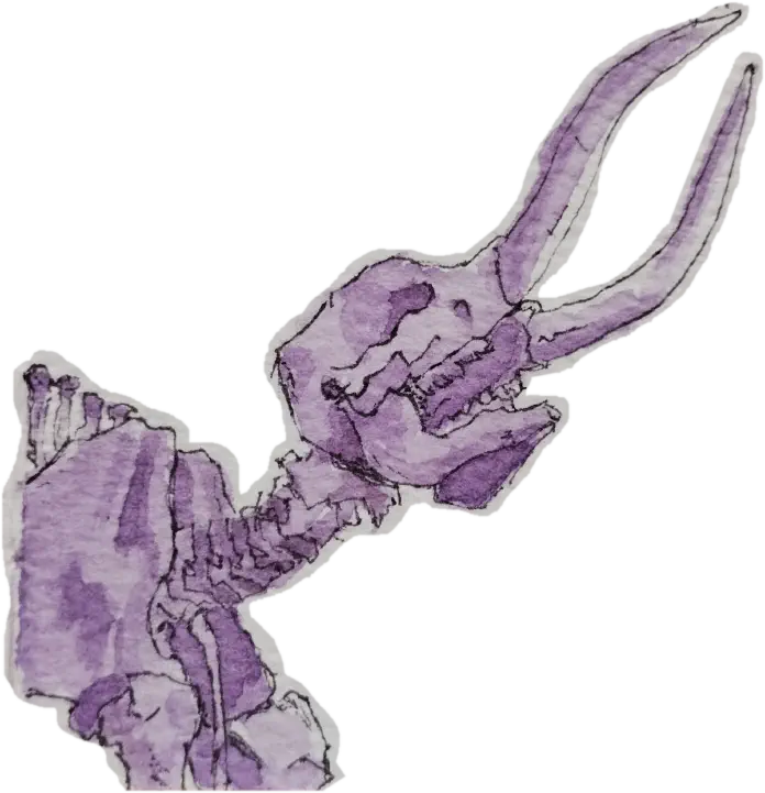 Mammoth fossil