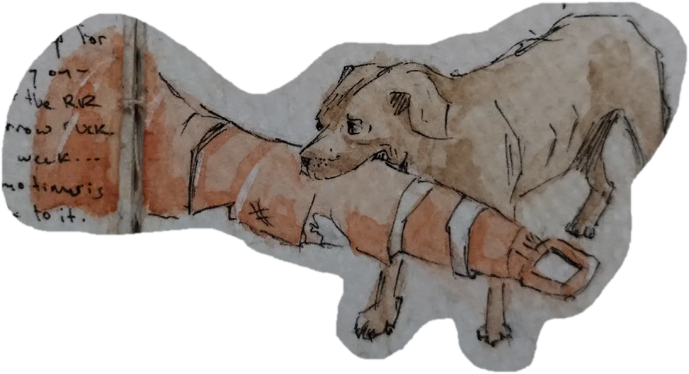 Traffic Dog