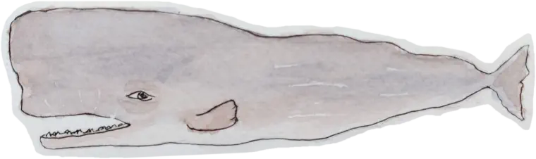 Whale