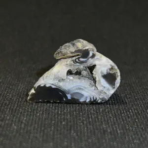 Geode