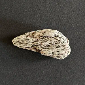 Gneiss